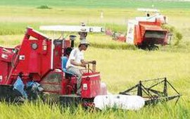 ĐBSCL mục tiêu giữ vững xuất khẩu 6-7 triệu tấn gạo/năm
